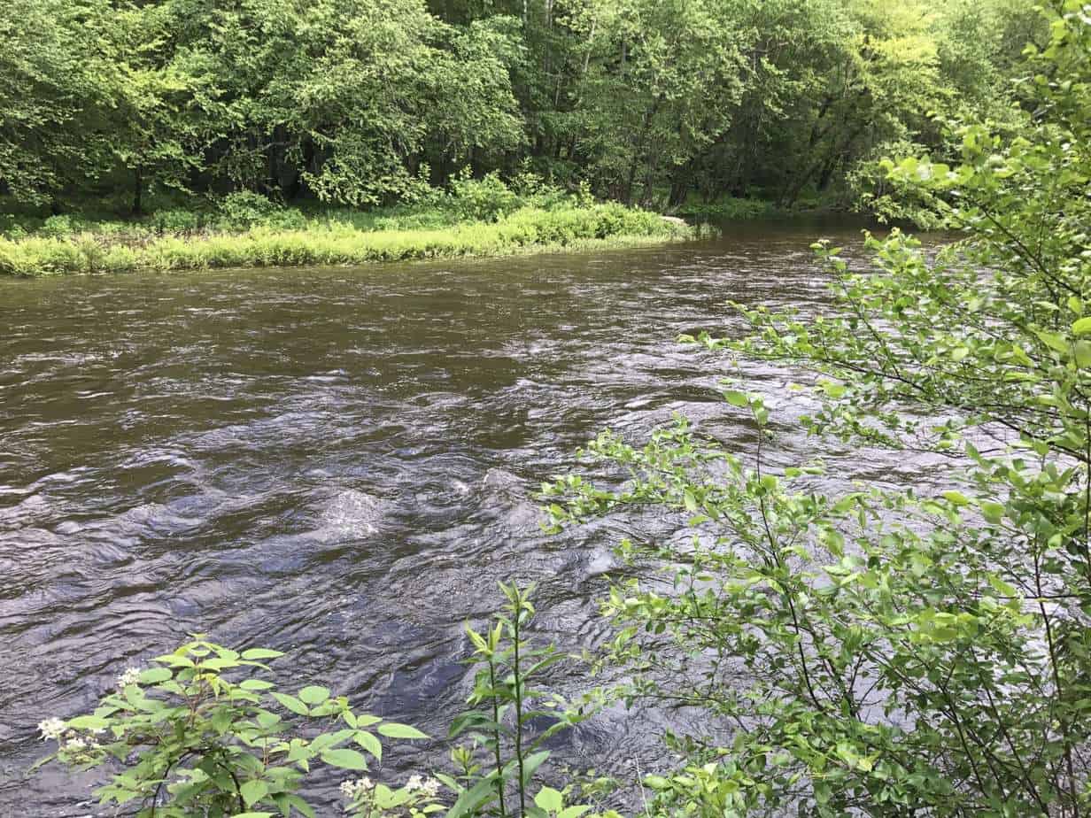 Neversink River, Godeffroy, N.Y. DC