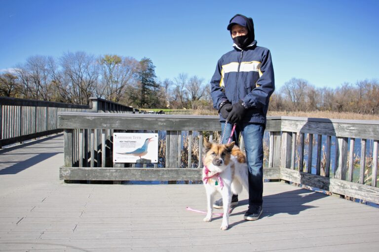 2020 11 18-e lee-leonard stewart-tinicum national wildlife refuge-boardwalk DC