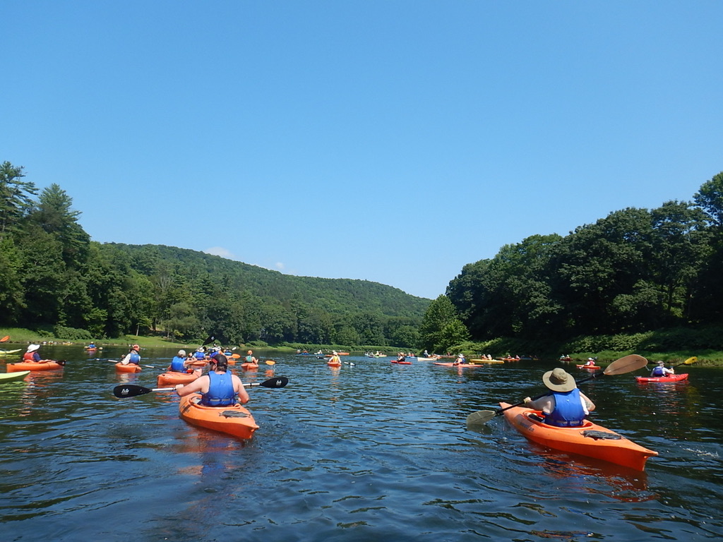 Kayaks paddling down the Delaware River.