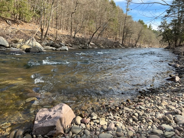 The Brodhead Creek in Monroe County, Pa. The creek is part of the larger Middle Delaware basin, which feeds the Delaware River watershed.