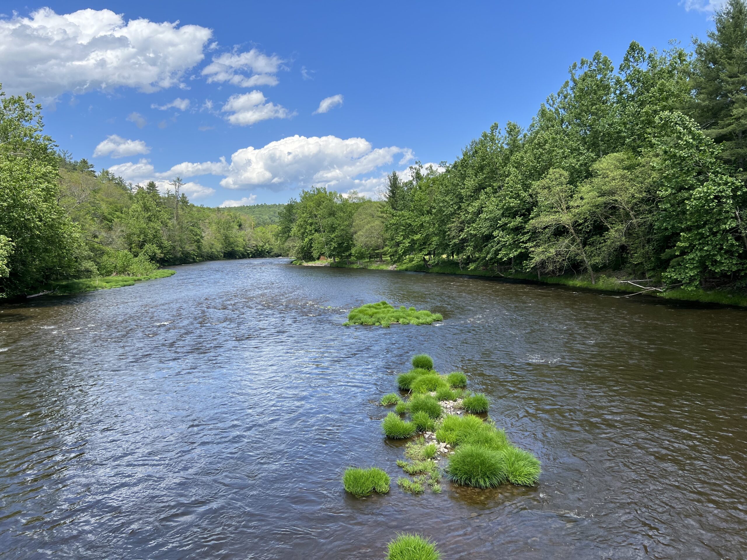 Lackawaxen Basin earns top scores for water quality - Delaware Currents