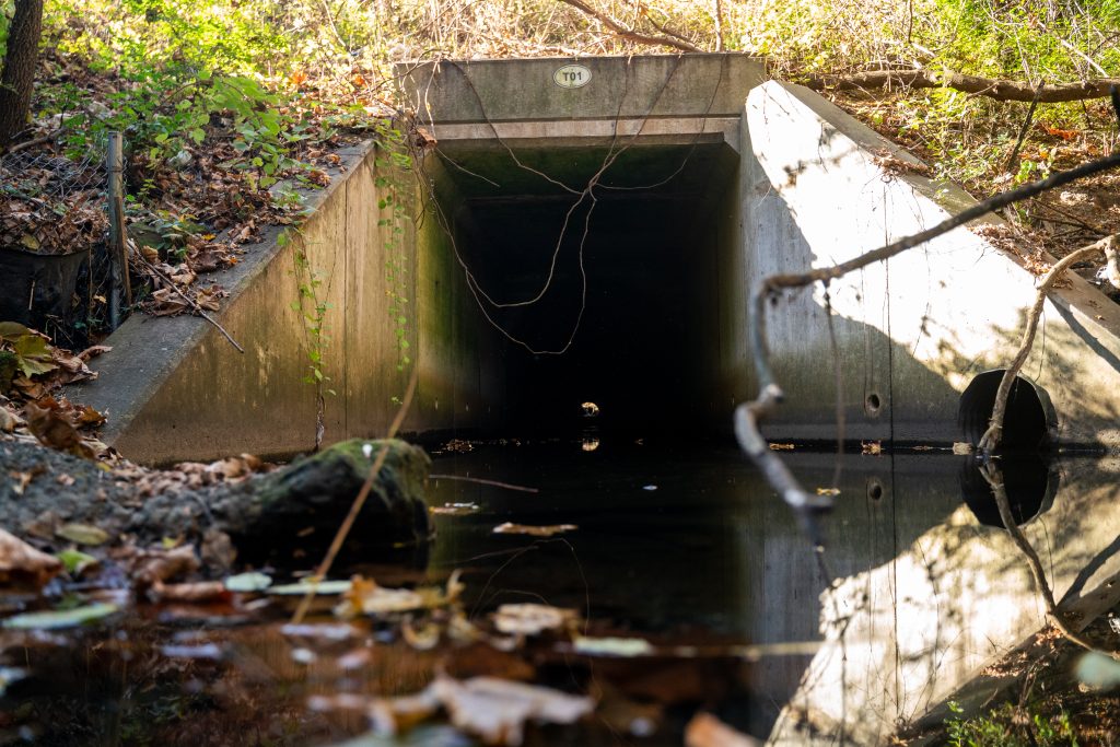 T1, a combined sewer line that feeds into Rock Creek, a tributary of Frankford Creek. Photo by Chris Baker Evens.