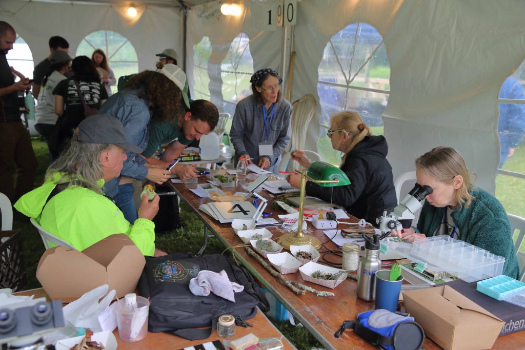 People working in a tent