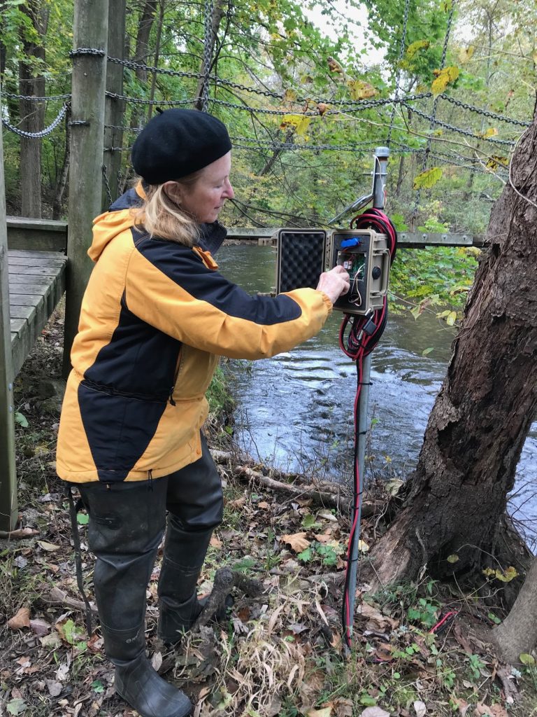 Stroud Water Research Center volunteer Carol Armstrong performs maintenance on a stream monitoring station in Pickering Creek in October 2018. Photo courtesy of Stroud Water Research Center