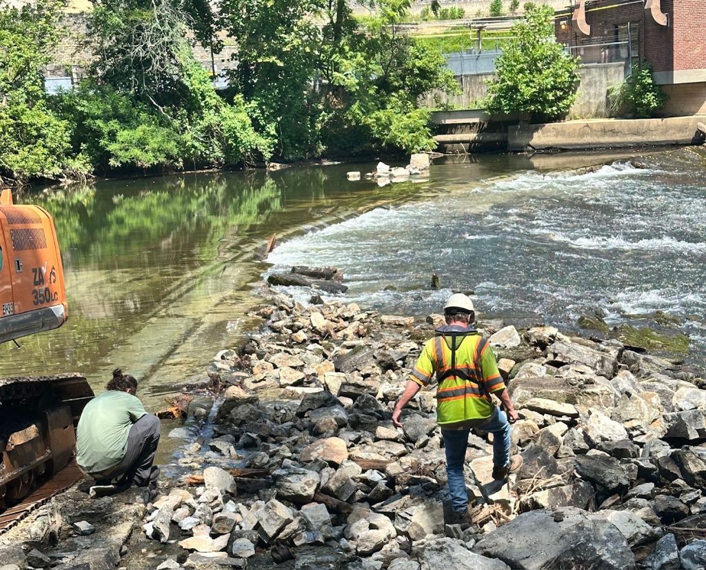 Efforts are underway to remove a dam on the Brandywine River. The removal is expected to help with the passage of shad. Photo by Jim Shanahan