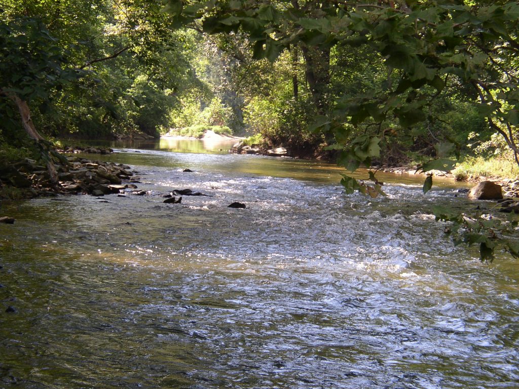 stream