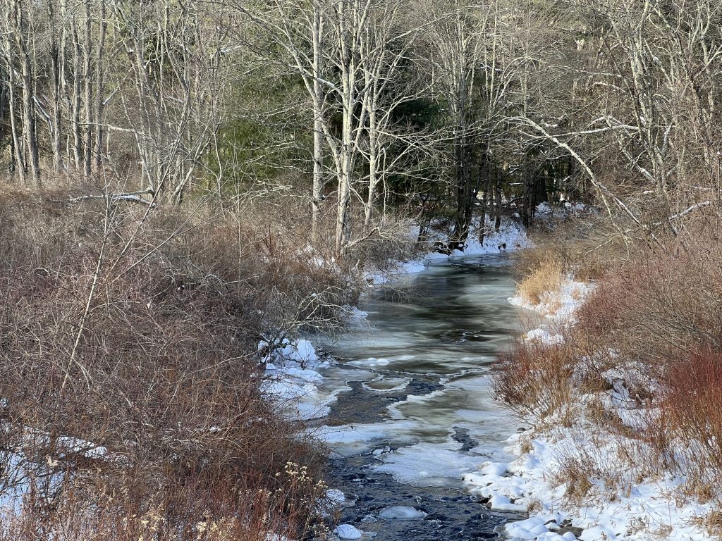stream in winter