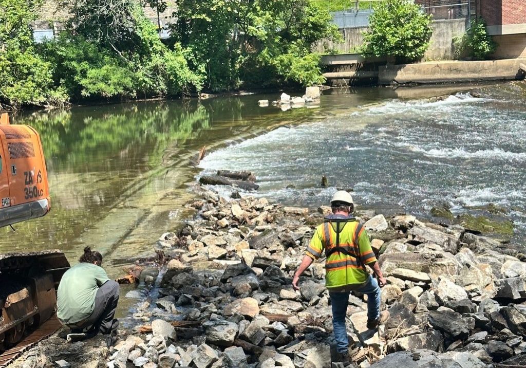 Efforts are underway to remove a dam on the Brandywine River. The removal is expected to help with the passage of shad. Photo by Jim Shanahan
