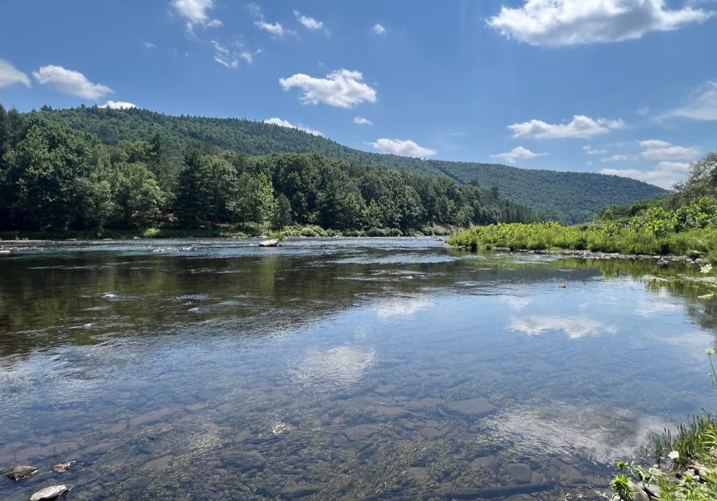 Along the Delaware River in Hancock, N.Y. PHOTO PROVIDED BY NYS DEPARTMENT OF ENVIRONMENTAL CONSERVATION