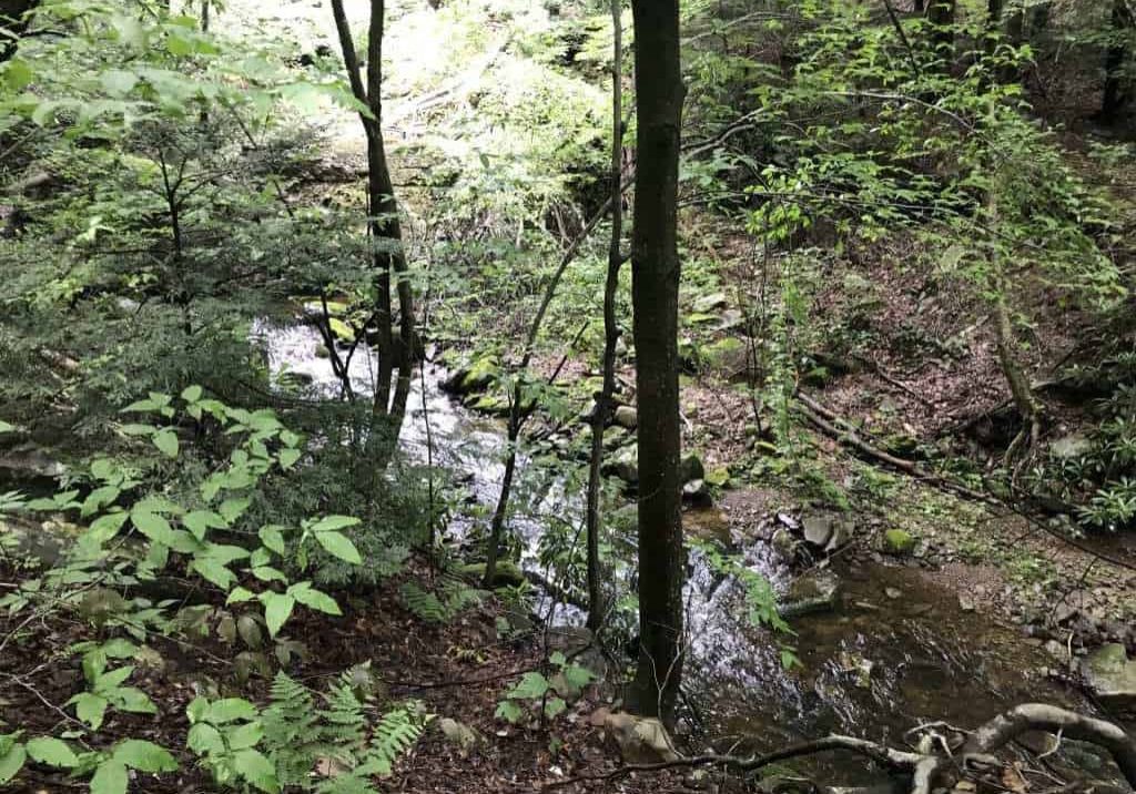 Tank Creek, one of six Pocono streams that could be classified as Exceptional Value. DC