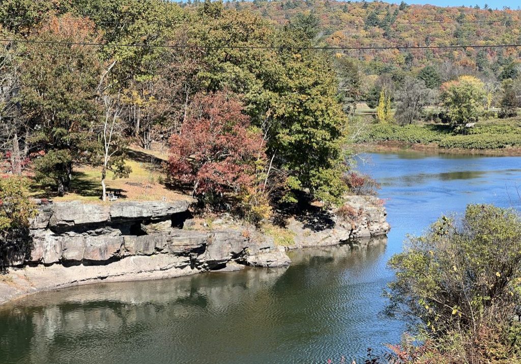 River at Narrowsburg