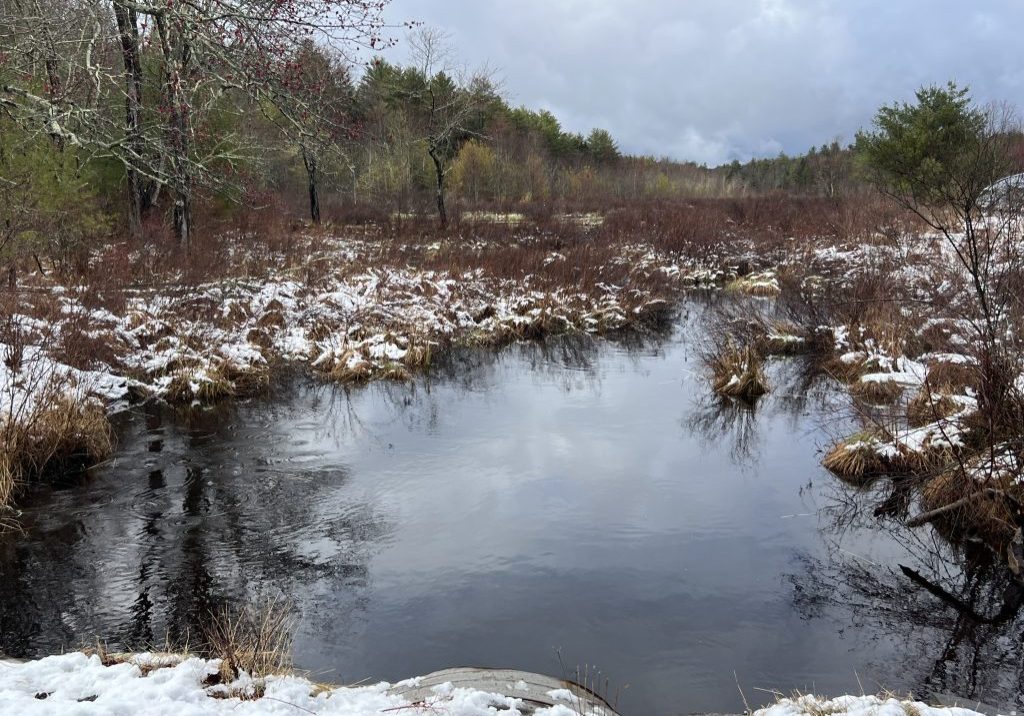 a small creek