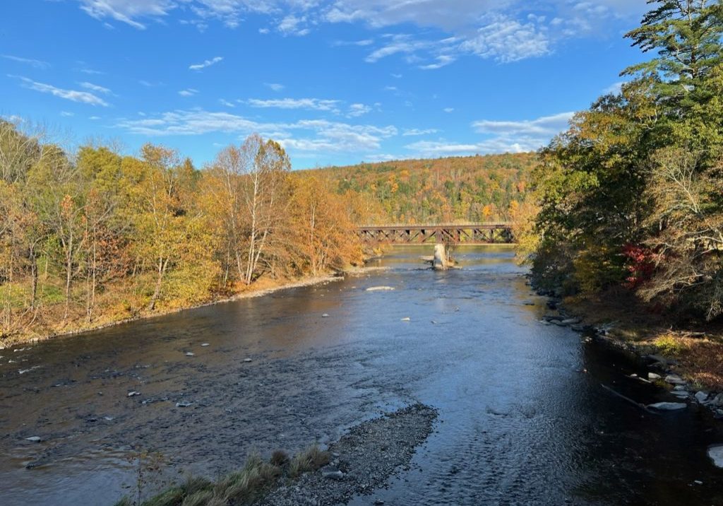 Activists are looking to get the Lackawaxen River designated as a Wild and Scenic River. PHOTO BY MEG MCGUIRE