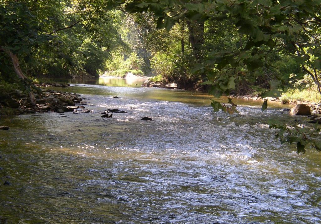 stream